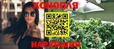 стаф Пенза