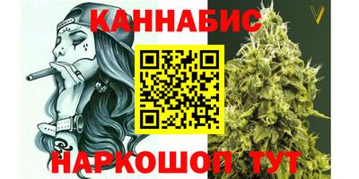 стаф Пенза